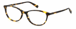 PIERRE CARDIN P.C. 8481