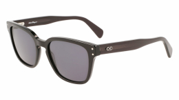 SALVATORE FERRAGAMO SF1040S
